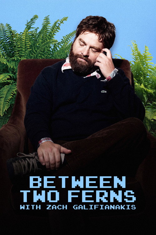 Between Two Ferns with Zach Galifianakis (2008) poster